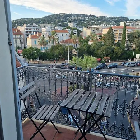 Mimosas Cannes